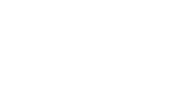 IBM Business Partner